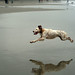 Kristin Jacobson Photo 25