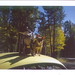 Chad Haynes Photo 3