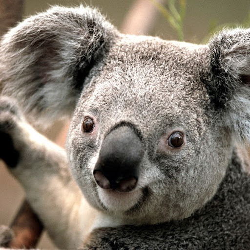 Shelby Jenkins Photo 22