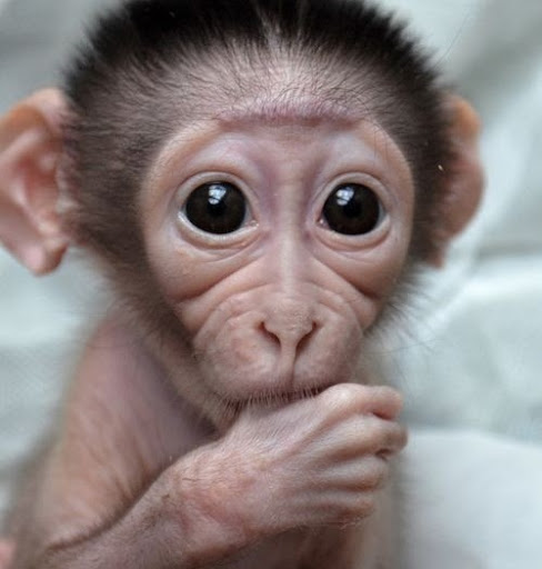 Sharon Fraser Photo 35