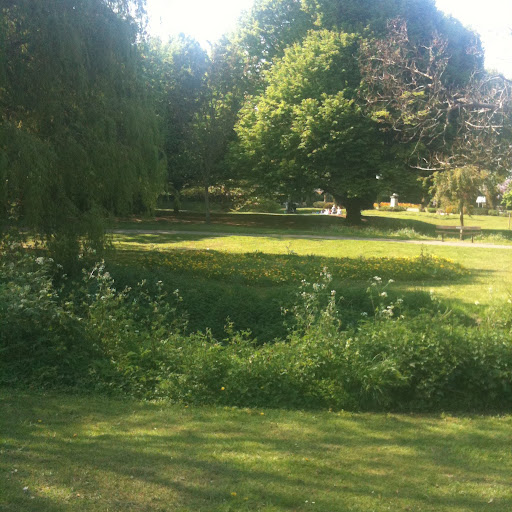 Annette Todd Photo 27