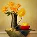 Colleen Farrell Photo 10