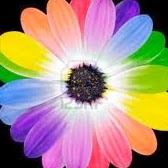 Debra Kendall Photo 13