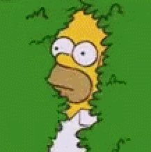 John Horvath Photo 17