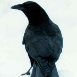 Bryan Glenn Photo 16