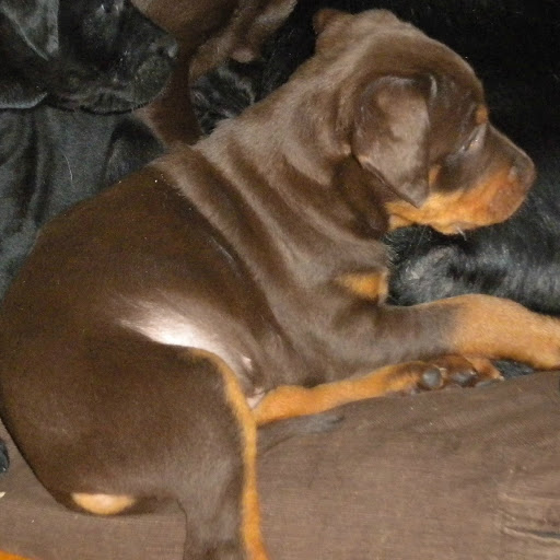 Christy Arnett Photo 5