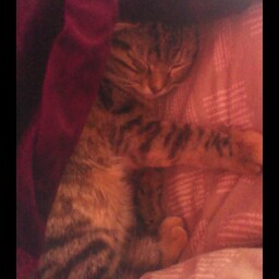 Claire Henry Photo 39 Claire Henry Photo 39