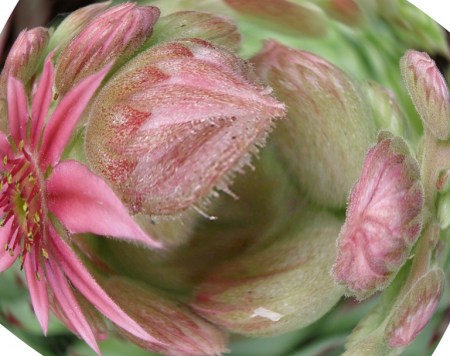 Kathleen Creighton Photo 16