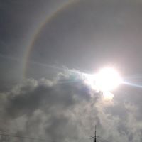 Sigmund Johnson Photo 11