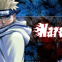 Mark Howard Photo 35