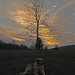 Virginia Craig Photo 24