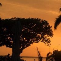 Kristen Atkins Photo 8