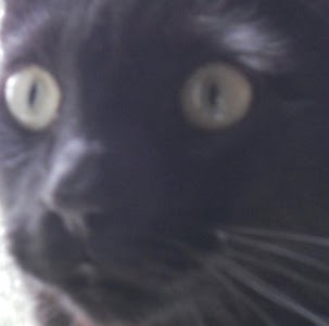 Jennifer Keys Photo 33