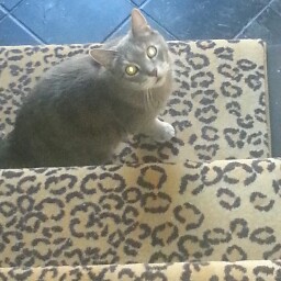 Linda Donnelly Photo 28