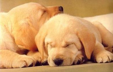 Karen Arias Photo 36