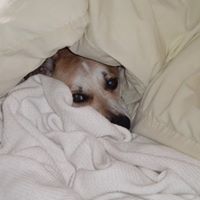 Vicki Herrmann Photo 4