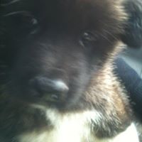 Emily Atkins Photo 32