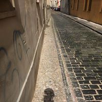 Arthur Sweet Photo 14