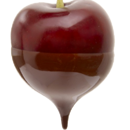 Tanya Burton Photo 6