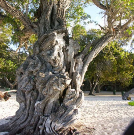 Dennis Morgan Photo 26