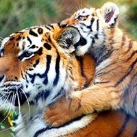 Julia Godwin Photo 25