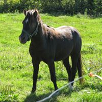 Julie Paquette Photo 18