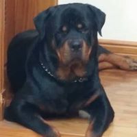 Jeffrey Hobbs Photo 16