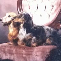 Janice Moseley Photo 6