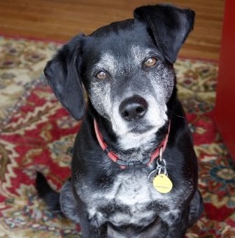 Brenda Funk Photo 21