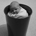 Jack Skelton Photo 23