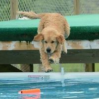 Ed Mcdaniel Photo 21