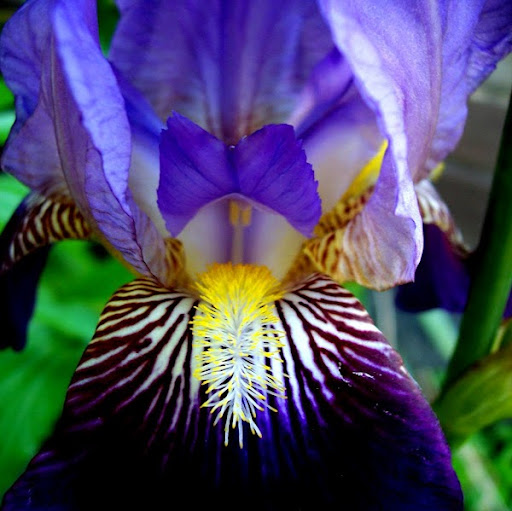 Jackie Abbott Photo 15