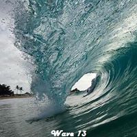 Denise Lutz Photo 38