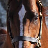 Julie Pilgrim Photo 4