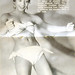 Katherine Taylor Photo 33