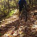 Dave Frederick Photo 18
