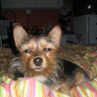 Sue Vazquez Photo 18