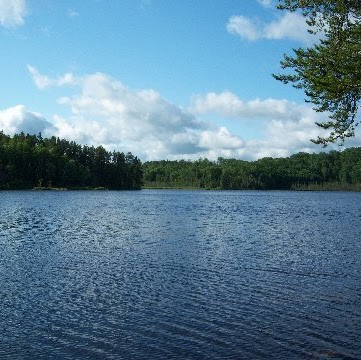 Ted Anderson Photo 41