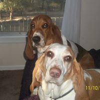 Vicki Steen Photo 21