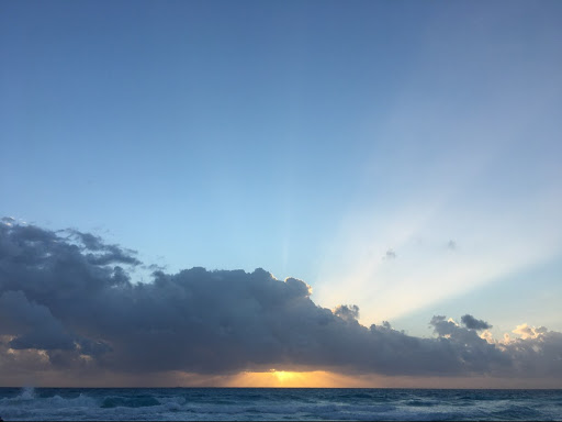 Shannon Mackay Photo 6