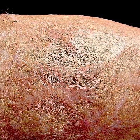 Gary Graham Photo 52