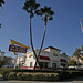 Harry Snyder Photo 13