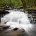 John Heber Photo 20