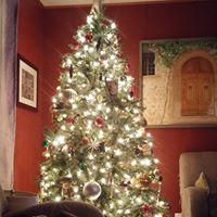 Andrea Wenger Photo 13