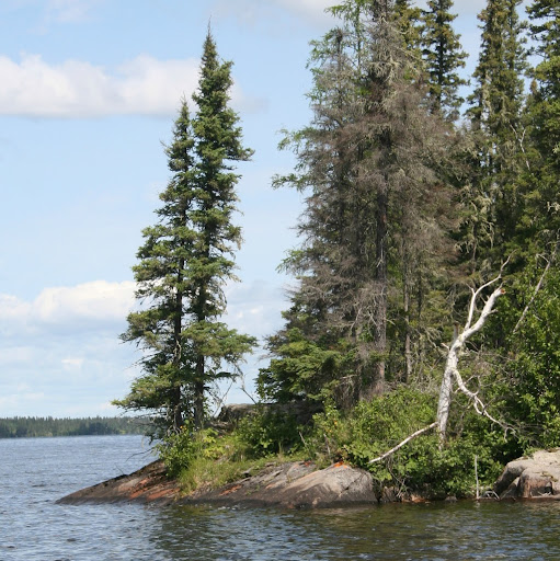 Tamara Powell Photo 27