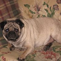 April Kelley Photo 16