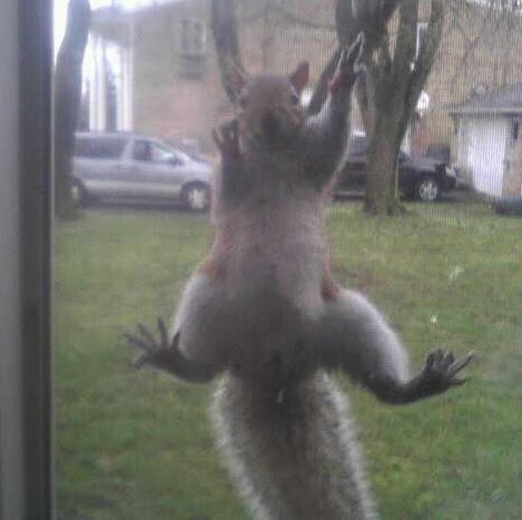 Kimberly Clement Photo 19