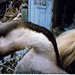 Michele Close Photo 10