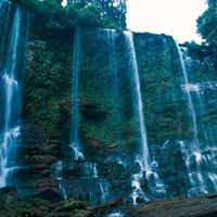 Daniel George Photo 27 Daniel George Photo 27