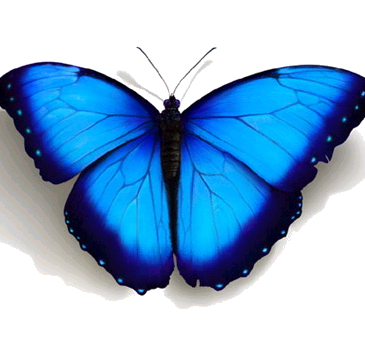 Charlie Stephens Photo 27